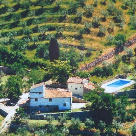 Agriturismo Montereggi Fiesole Szoba fotó